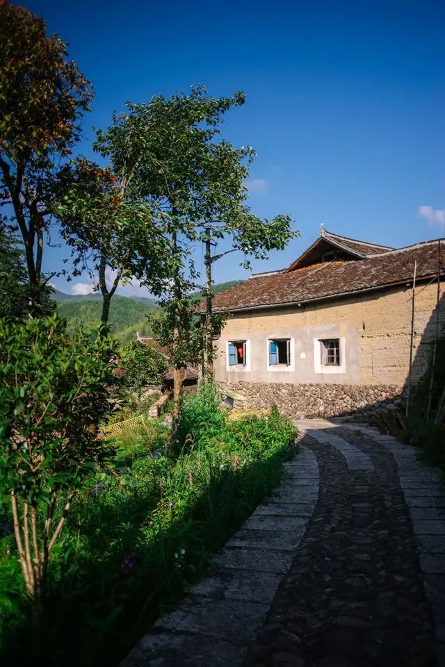 36d74beb6056cd8140a4f598f9ec5111.jpg